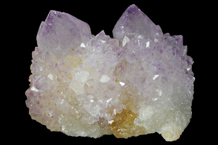 Cactus Quartz (Amethyst) Crystal Cluster - South Africa #132484